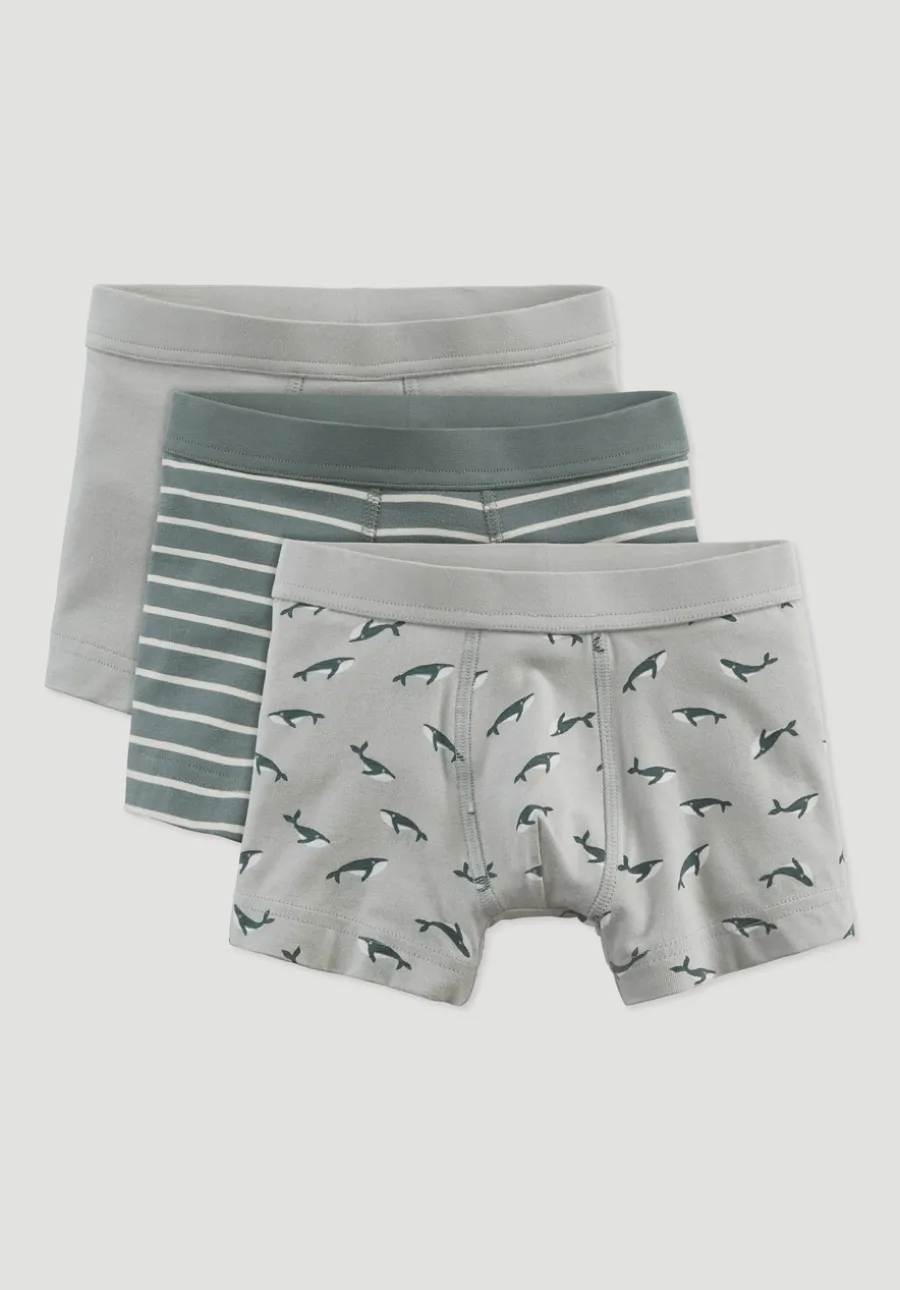 Jungen Pants Regular Cut im 3er-Pack aus Bio-Baumwolle von hessnatur